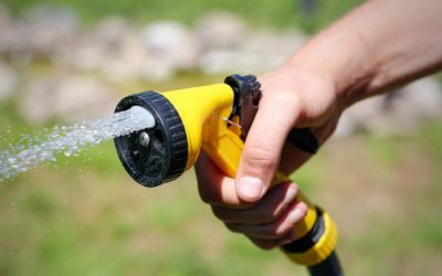 Hand watering hose tips