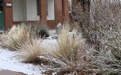 Winterize your irrigation system