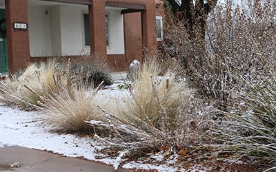 Time to winterize – Prepare your landscape for winter