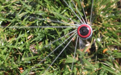 What are high efficiency rotary nozzles and why should you use them in your lawn?