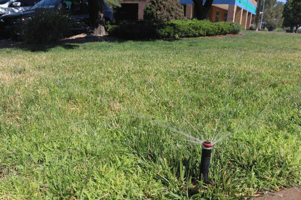 ramp-down-your-watering-schedule-for-the-fall-505-outside