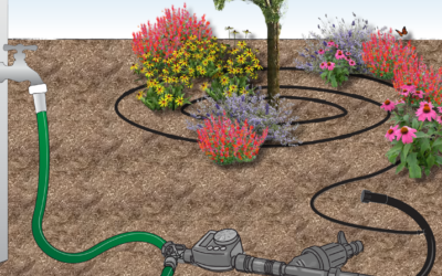 Keep Your Trees Happy: Build a Tree Irrigation Watering System