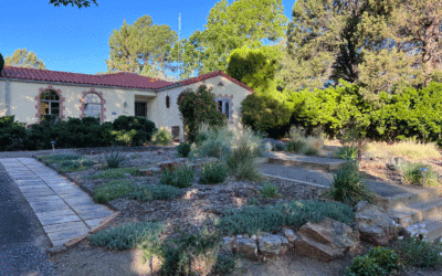 Xeriscape Conversions that use Wood Chip Mulch